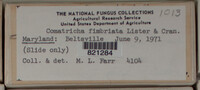 Image Associated With the Occurence